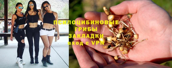 мяу мяу мука Осинники
