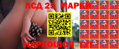 apvp Гай