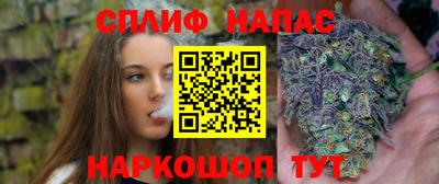 сатива Балахна