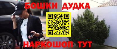 гидра Гагарин