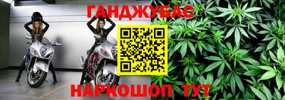 гидра Гагарин