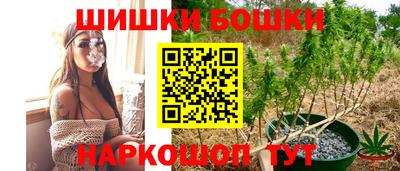 гидра Гагарин
