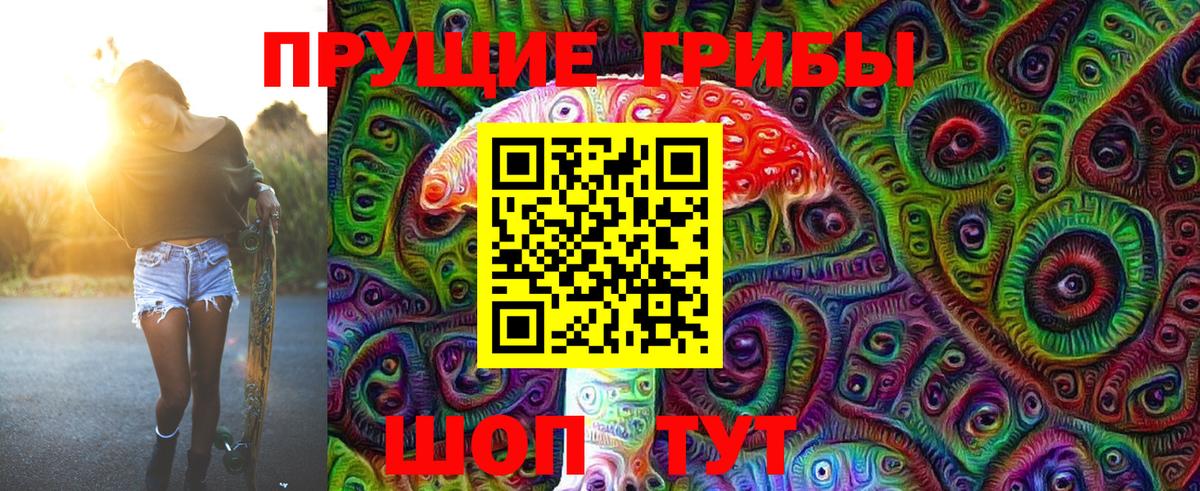 Галлюциногенные грибы MAGIC MUSHROOMS  Псилоцибиновые грибы GOLDEN TEACHER  Знаменск 