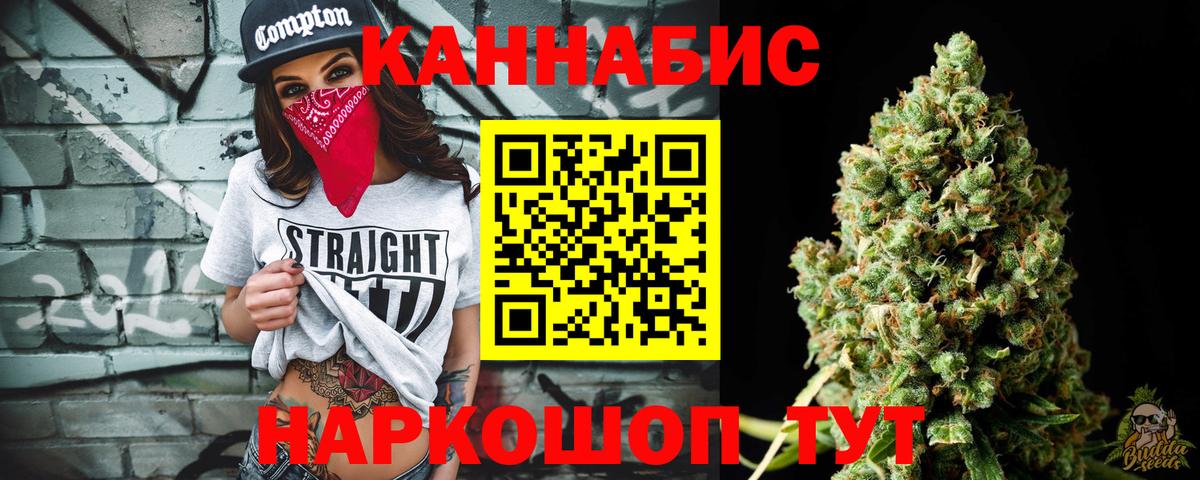 Бошки Шишки план Знаменск